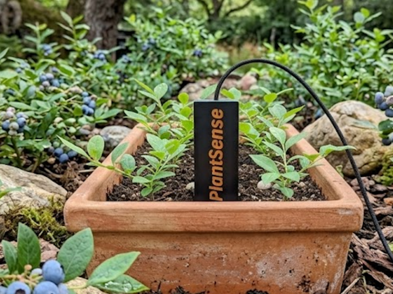 Growing Blueberries with PlantSense