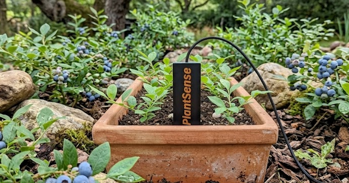 Growing Blueberries with PlantSense