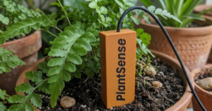 PlantSense Watching the Curve