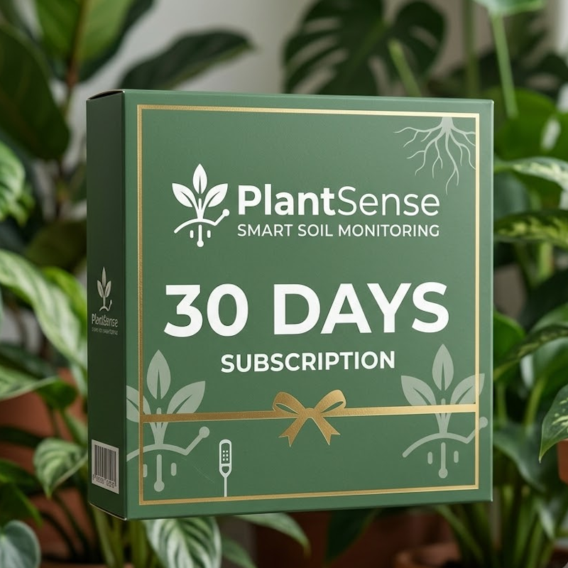30 Days Subscription
